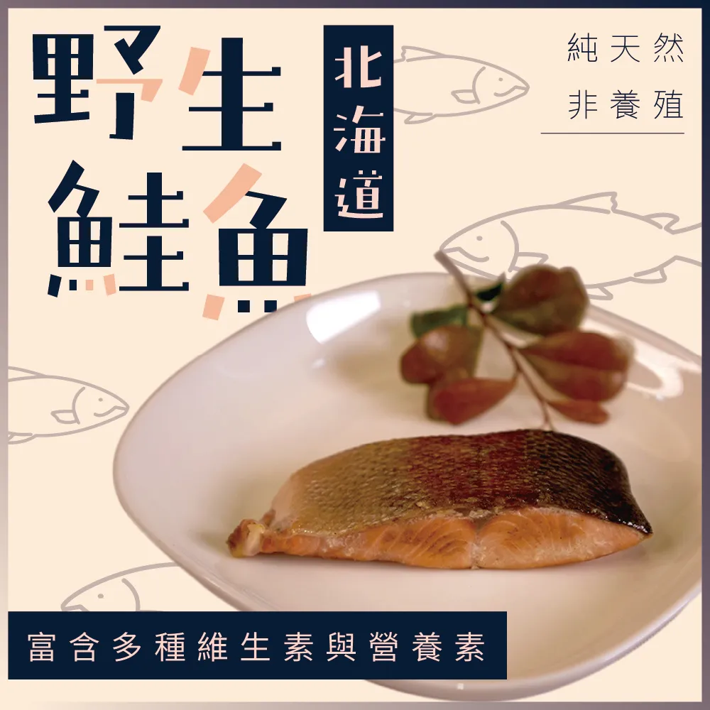 北海道野生鮭魚