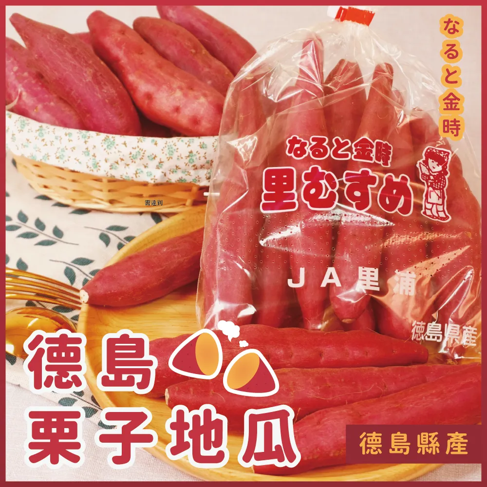 德島金時栗子地瓜